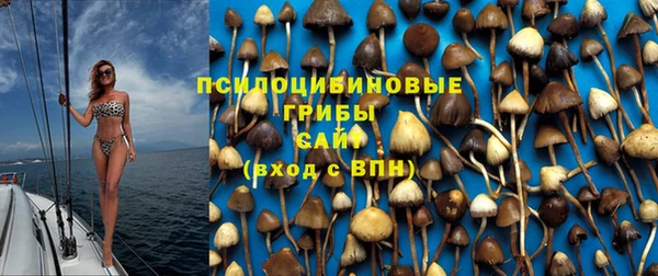 эйфоретик Алзамай
