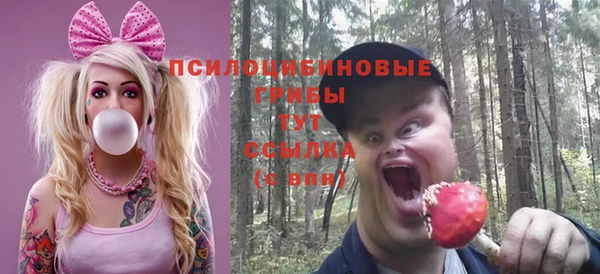 эйфоретик Алзамай