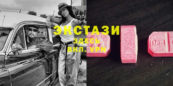 эйфоретик Алзамай