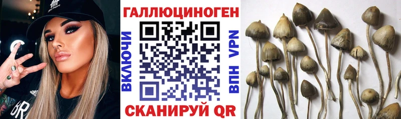 Псилоцибиновые грибы Psilocybe  Ярцево 